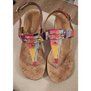 ALEX MARIEBURDETTE Thong Wedge Sandal! Size 9.5 Block Multi Colors
